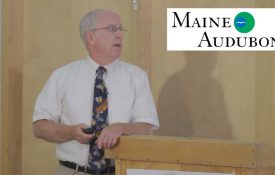 Maine Audubon - Doug Tallamy Talk