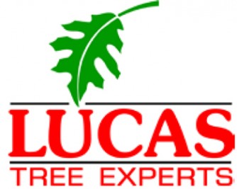 lucas_logo